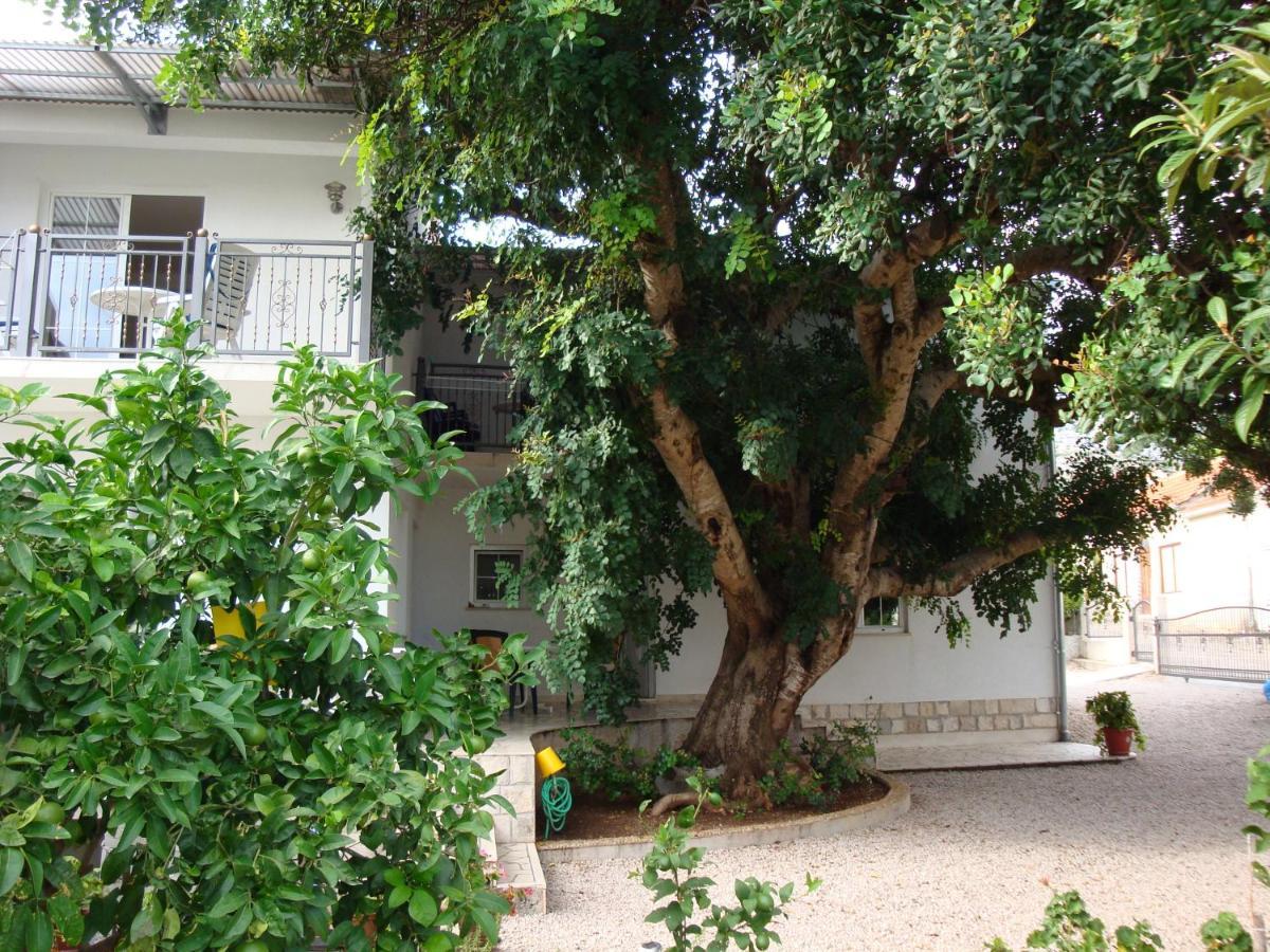 Apartments By The Sea Orebic, Peljesac - 4490 Ngoại thất bức ảnh